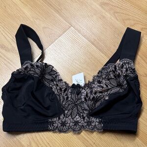 Curve Muse 34DD NEW NWT Black and Tan Lace Bra